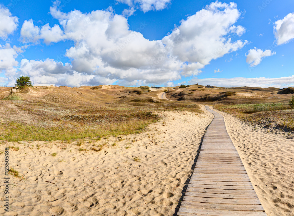 Wooden path into the Grey Dunes. Curonian Spit, Lithuania. Wooden path into the Grey Dunes. Curonian Spit, Lithuania.
