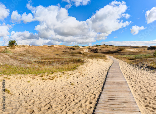 Wooden path into the Grey Dunes. Curonian Spit  Lithuania.