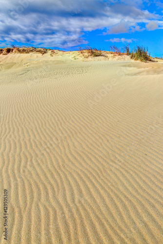 Grey dunes in the fall time. Curonian Spit  Lithuania.