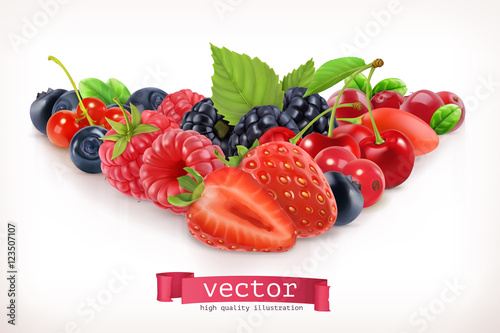 Forest berry. Sweet fruit. Vector illustration isolated on white photo