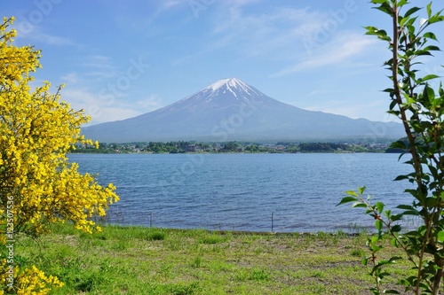 The Mount Fuji volcano in Japan