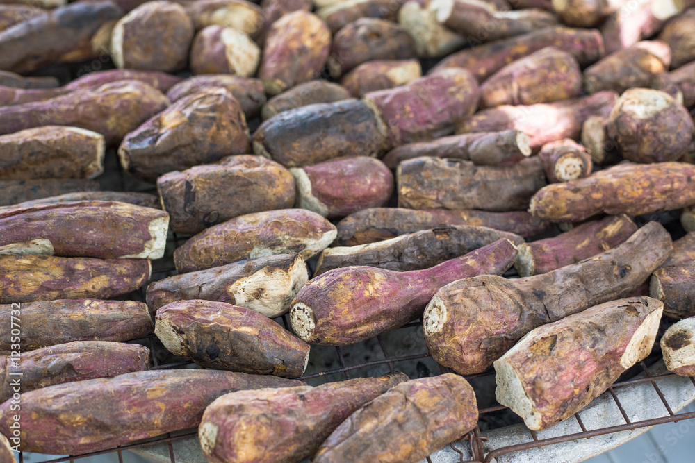 grill sweet potato, Ipomoea batatas grill sweet potato, Ipomoea batatas
