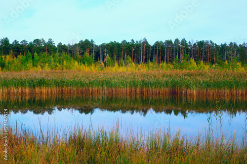 Autumn landscape with reflection in water . Siberia. photo
