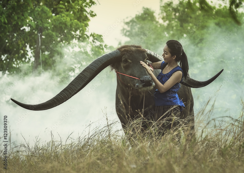 Obraz premium The girl with Buffalo in thailand.