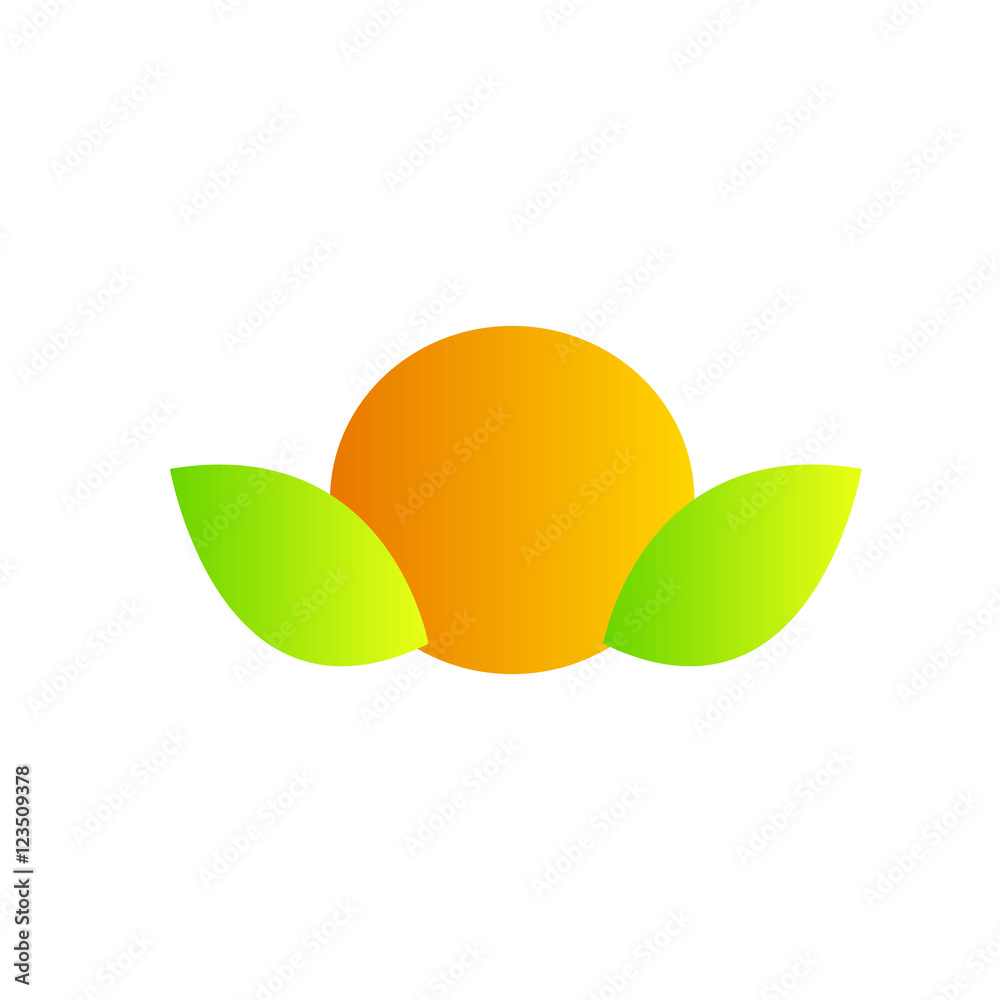 Orange Vector Orange Vector
