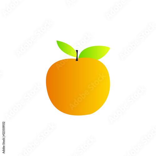 Orange Vector