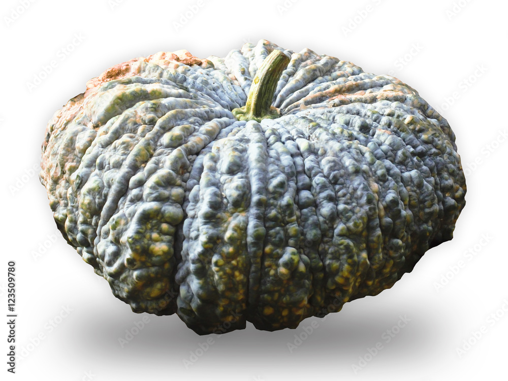 Pumpkin on white. Pumpkin on white.