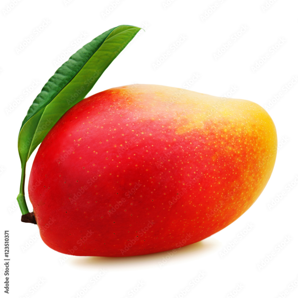 Fresh mango fruit isolated on white background. Closeup. Fresh mango fruit isolated on white background. Closeup.