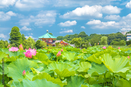 Canvas Print Bud of this lotus and lotus flower was shot in Taito-ku, Japan Ueno Park