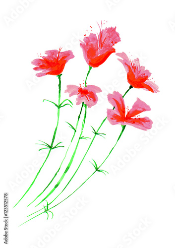 Illustration - watercolor flowers, branch flower, pink, red flower isolated on white background.