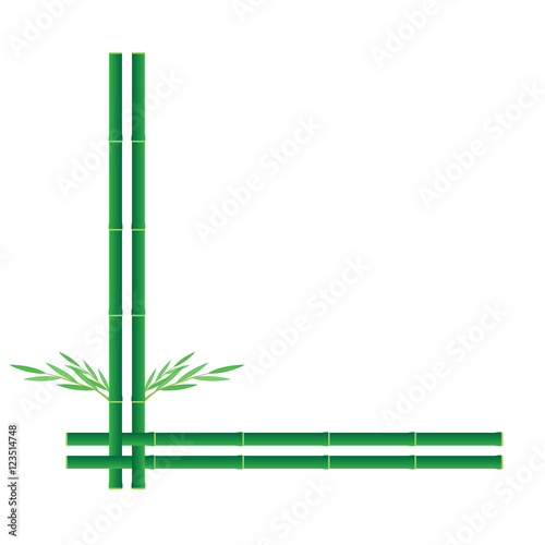 bamboo background vector design