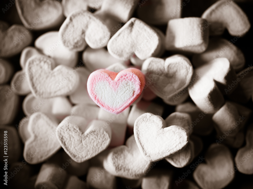 Obraz premium Valentine's Day