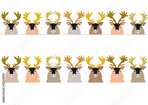reindeer border