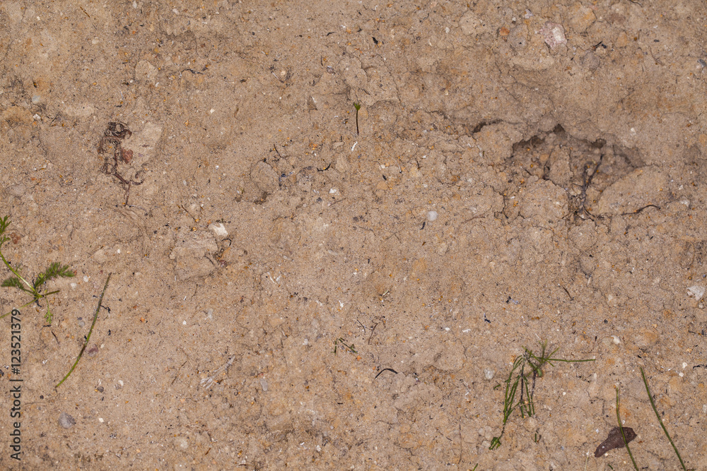yellow sand with stones and grass yellow sand with stones and grass
