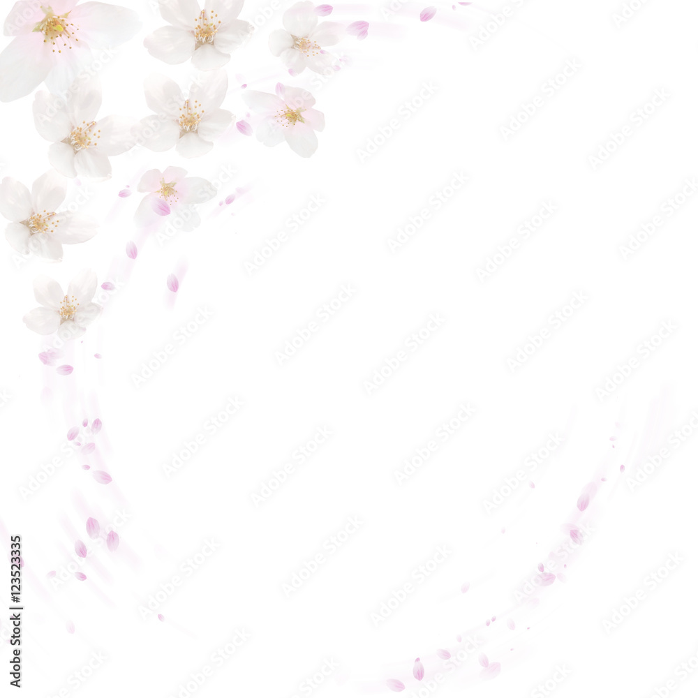 桜の背景 春イメージ