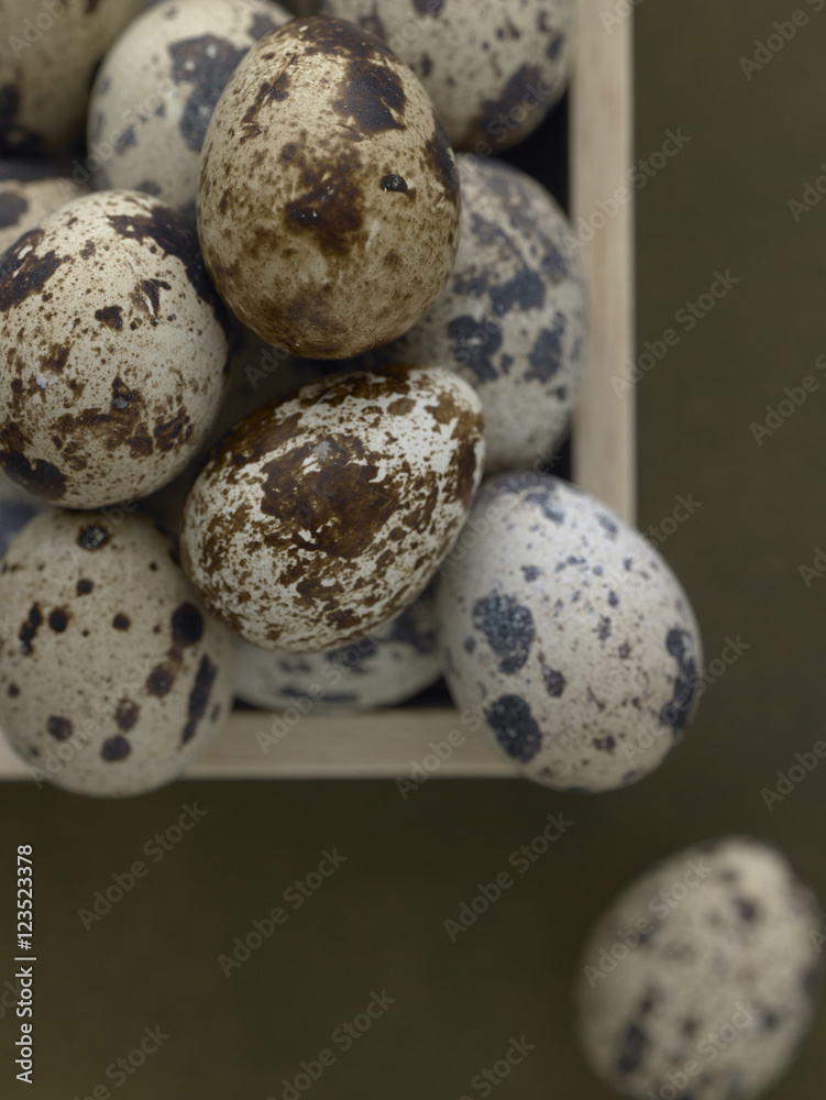 Obraz premium ウズラの卵 Japanese quail 's egg シーモス・グリーンの背景
