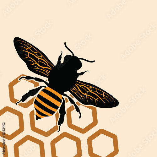 Bee_and_gray_honey_cells