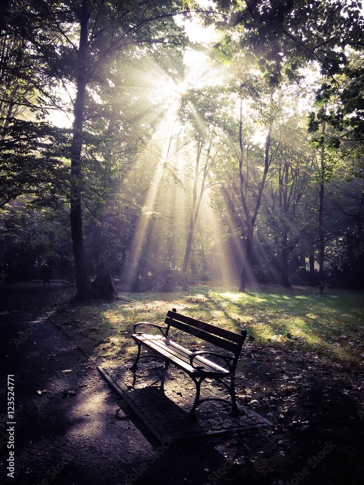 Autumn in the park