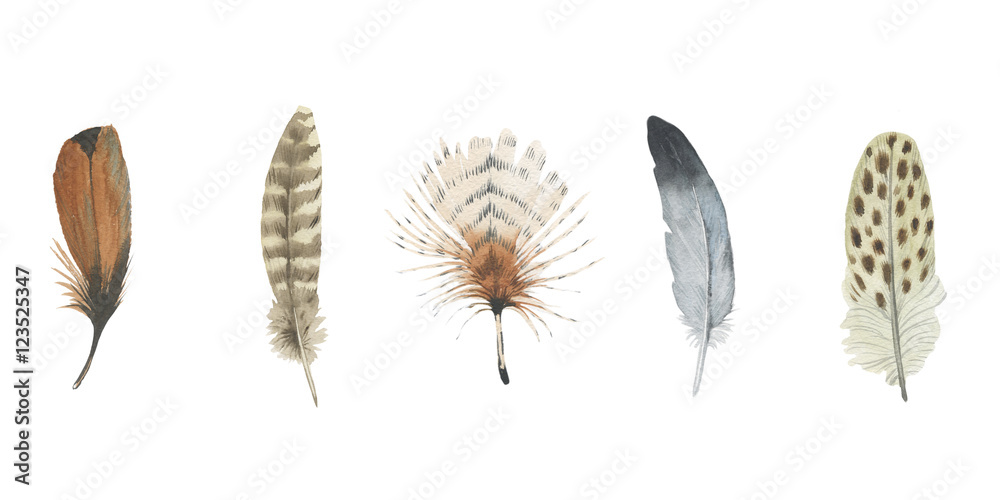 Watercolor bird feather from wing isolated. Aquarelle feather for background, texture, wrapper pattern, frame or border. Watercolor bird feather from wing isolated. Aquarelle feather for background, texture, wrapper pattern, frame or border.