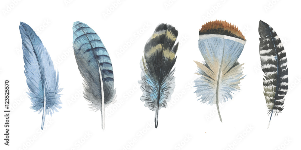 Obraz Pióro ptak akwarela z skrzydła na białym tle. Aquarelle pióro dla tła, tekstury, wzoru opakowania, ramki lub granicy.