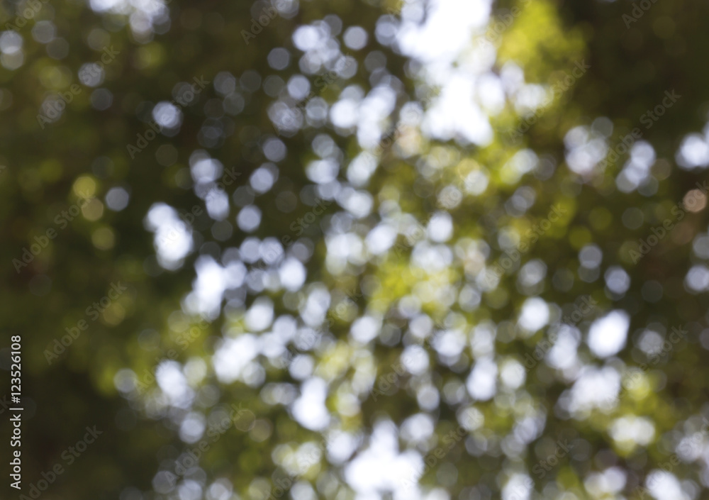 Obraz premium bokeh