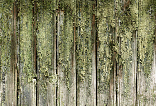 texture of the old painted green boards © alexialex