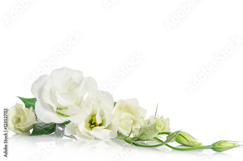 corner from beautiful white eustoma flowers isolated on white ba