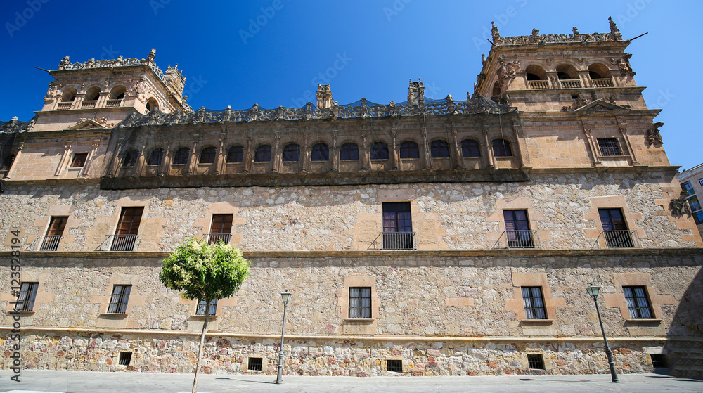 Obraz premium Palacio de Monterrey in Salamanca, Spain