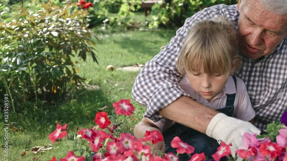 Senior man sitting with his granddaughter in green garden and showing her flowers Senior man sitting with his granddaughter in green garden and showing her flowers