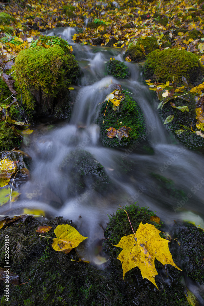 Fototapeta premium Water stream and fall yellow leavs.