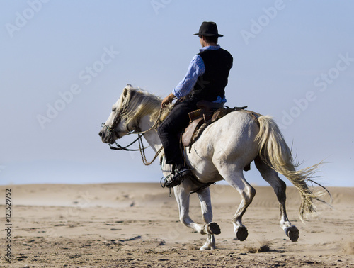 horseman on the beach