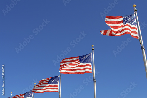 American flags in a row