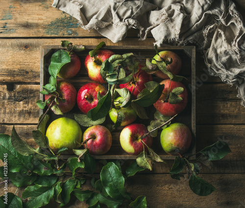 Seasonal garden harvest colofrul apples with green leaves in wooden tray over rustic wooden background, top view, horizontal composition photo