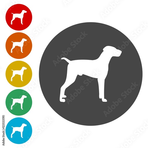 Dog sign icon. Pets symbol. Circle buttons