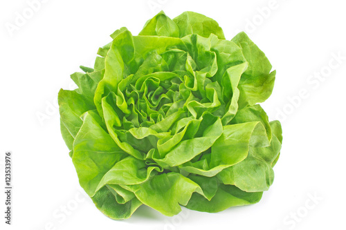 Lettuce vegetable isolated on white background