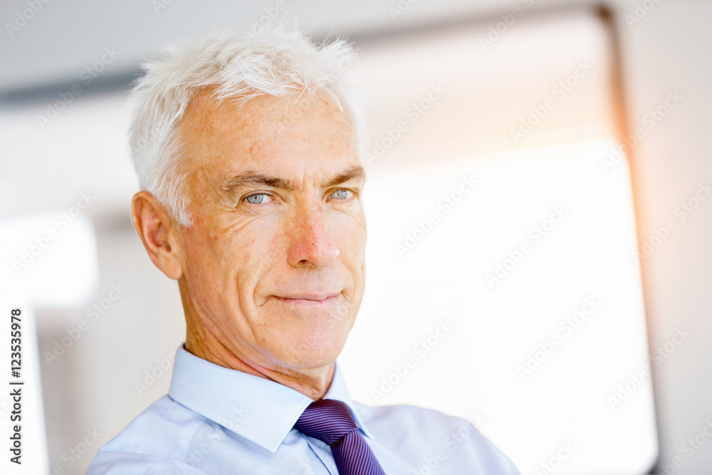 Businessman at the office