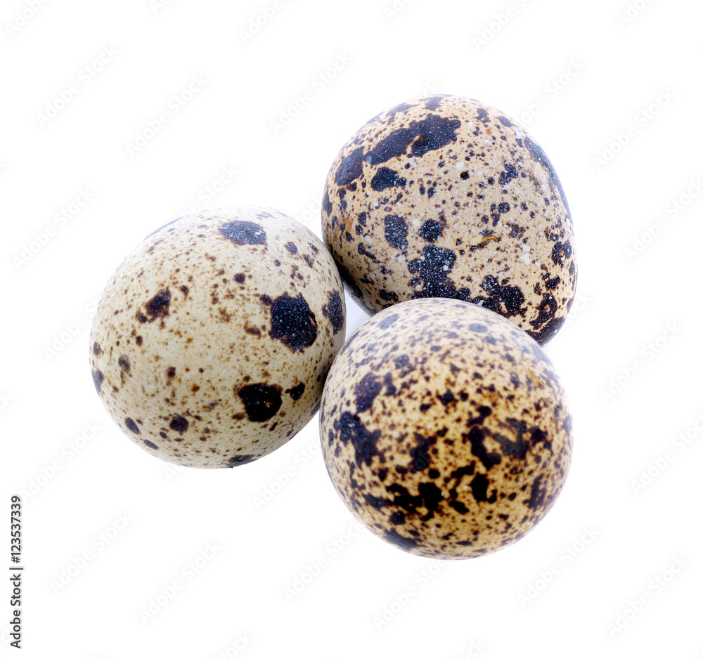 Quail eggs are isolated on a white background Quail eggs are isolated on a white background