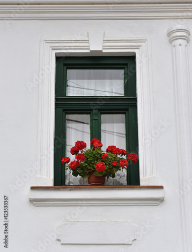 Classic green wooden window frame and red flowers on a rural hou