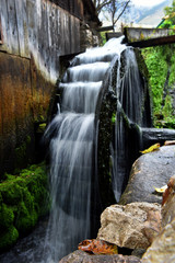 Keuken achterwand Molens Werkend molenrad met stromend water  © salajean