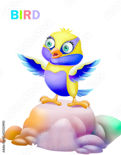A colorful bird