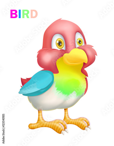 A colorful bird