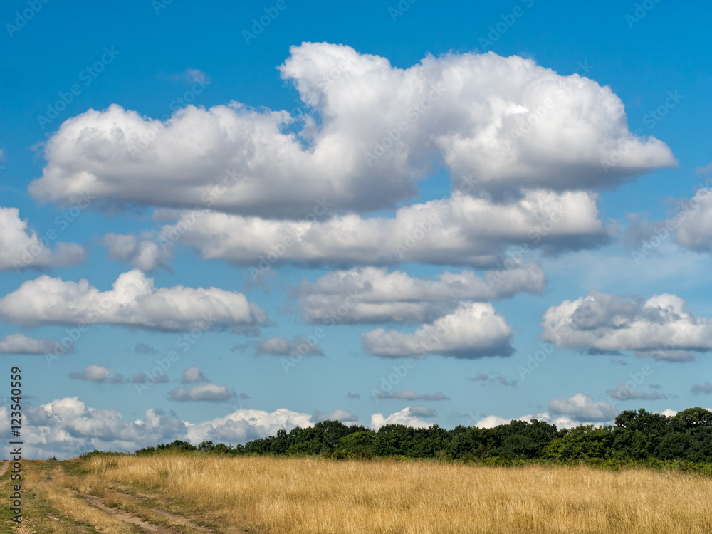 Big sky open parkland, countryside with great clouds.