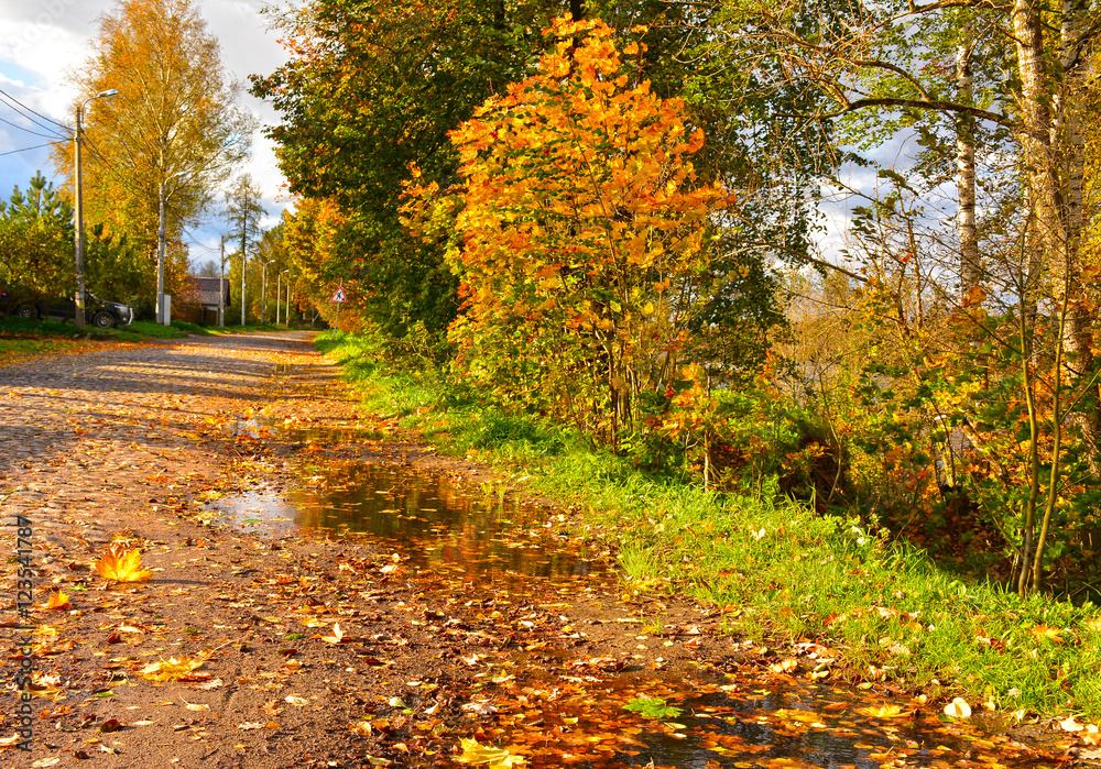 Fototapeta premium Autumn landscape