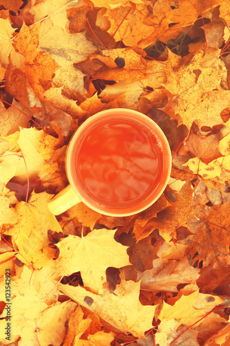 Autumn leaves and cup of tea.