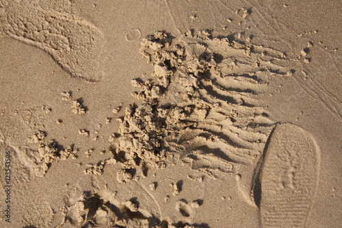 Sand surface 