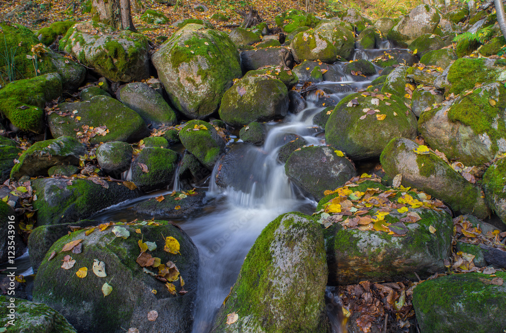 Water stream with green stones and fall yellow leavs.