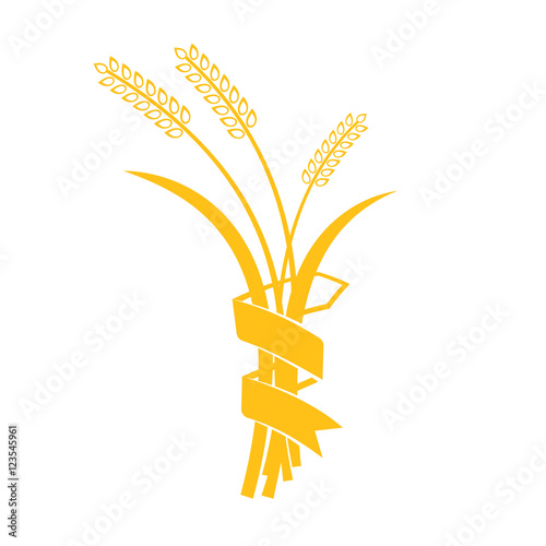 Ears of Wheat, Barley or Rye vector visual graphic icons