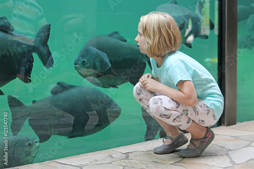 Child girl watching the huge marine fish in a big aquarium