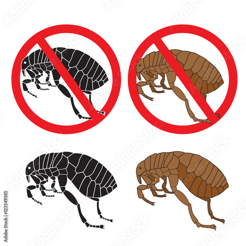 Flea Signs. Danger Sign. Flea And Hygiene. Stock Flea. Picture A Flea. Symbol Vector. Flea In The Sign. Colour Flea. Color Image Fleas. Black Picture Fleas. Flea Insect. Warning Signs. Vector Set.