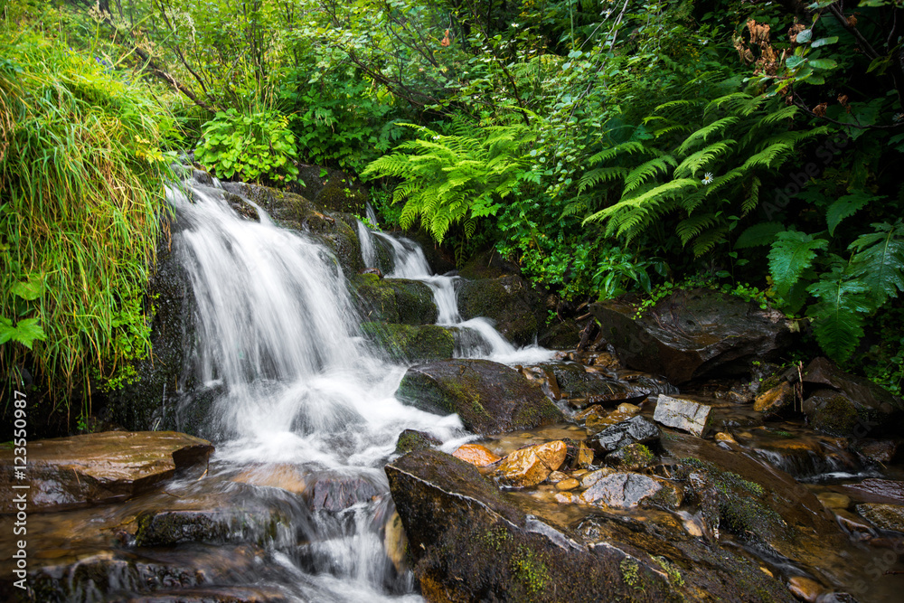 Mountain Creek Mountain Creek